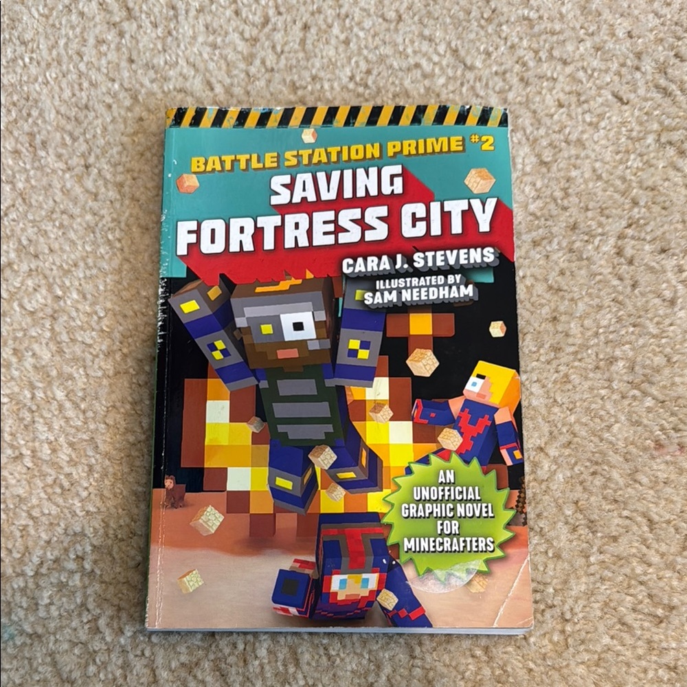 Minecraft book